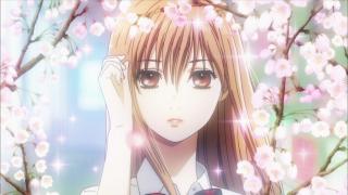 Chihayafuru - Épisode 1