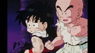 Dragon Ball Z - Épisode 113