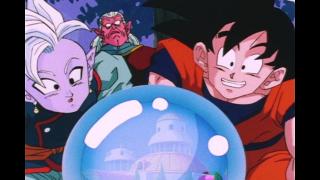 Dragon Ball Z - Épisode 260