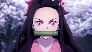 Demon Slayer: Kimetsu no Yaiba - Épisode 16