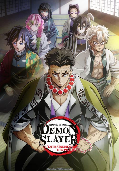 Demon Slayer: Kimetsu no Yaiba - L’entraînement des piliers