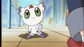 Digimon Tamers - Épisode 10