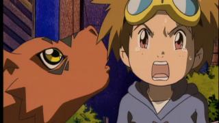 Digimon Tamers - Épisode 14