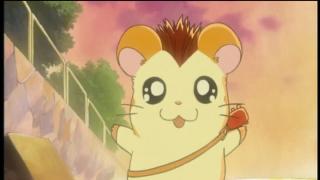 Hamtaro - Épisode 10