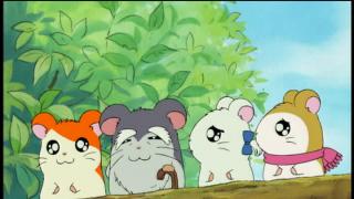 Hamtaro - Épisode 11