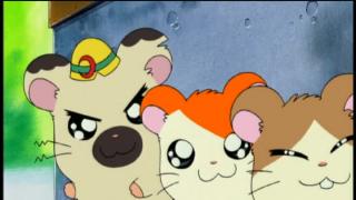 Hamtaro - Épisode 12