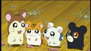 Hamtaro - Épisode 13