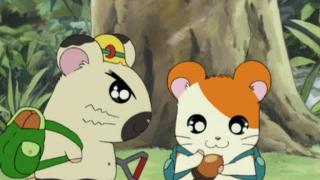 Hamtaro - Épisode 15