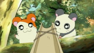 Hamtaro - Épisode 19