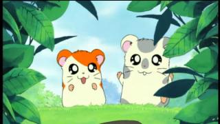 Hamtaro - Épisode 1