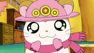 Hamtaro - Épisode 22