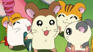 Hamtaro - Épisode 23