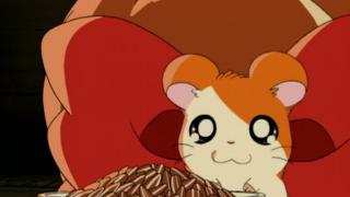 Hamtaro - Épisode 24