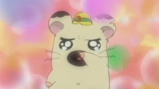 Hamtaro - Épisode 25