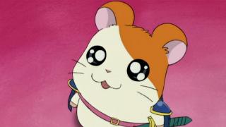 Hamtaro - Épisode 26