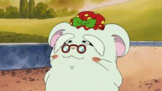 Hamtaro - Épisode 28