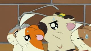 Hamtaro - Épisode 29