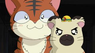 Hamtaro - Épisode 31