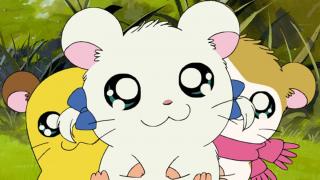 Hamtaro - Épisode 32