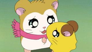 Hamtaro - Épisode 34