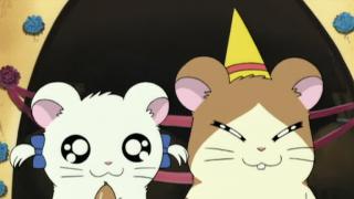 Hamtaro - Épisode 36