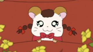 Hamtaro - Épisode 37