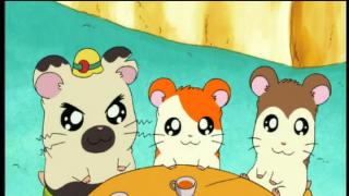 Hamtaro - Épisode 3