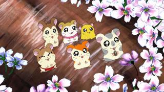 Hamtaro - Épisode 40