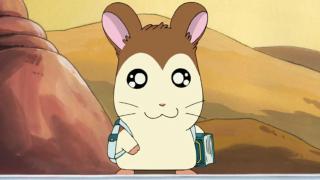 Hamtaro - Épisode 41