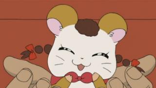 Hamtaro - Épisode 42