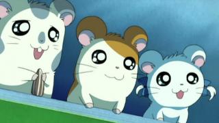 Hamtaro - Épisode 45