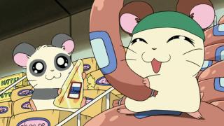 Hamtaro - Épisode 49