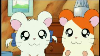 Hamtaro - Épisode 5