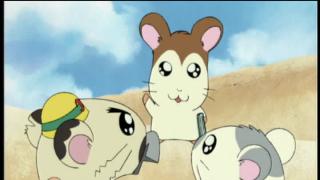 Hamtaro - Épisode 6