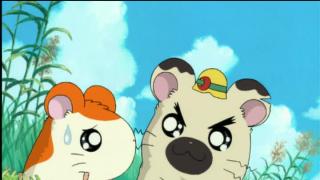 Hamtaro - Épisode 8