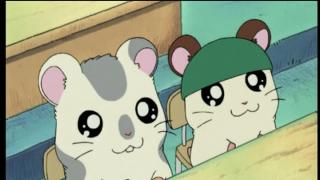 Hamtaro - Épisode 9