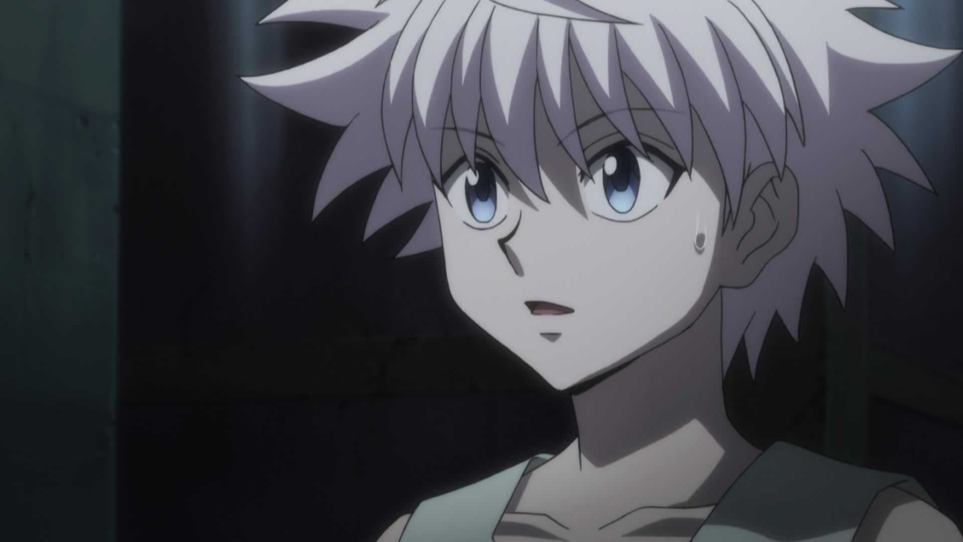 Film Hunter X Hunter Adn Hunter x Hunter (2011) - Arc 06 : Chimera Ant Épisode 124 : Limite et Éveil  - streaming - VF et VOSTFR - ADN