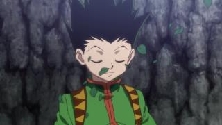 Hunter x Hunter saison 7 : date de sortie, streaming ADN et