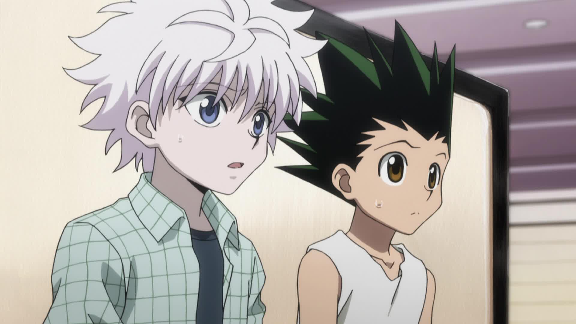 Film Hunter X Hunter Adn Hunter x Hunter (2011) - Arc 06 : Chimera Ant Épisode 86 : Promesse et  réunion ! - streaming - VF et VOSTFR - ADN