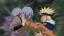 L’expédition lancée par Orochimaru pour récupérer le corps de Sasuke prend plus de temps que prévu… Orochimaru est pris de court et va devoir investir un autre corps pour sa propre survie. Pendant ce temps l’équipe de Shikamaru qui a réussi a récupérer le tonneau qui abrite Sasuke se retrouve face à face avec leurs adversaires.
