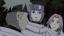Alors que Naruto est toujours à la recherche de Sasuke, il se voit confier la délicate mission de protéger une certaine Hotaru, détentrice du secret d’une technique interdite très puissante. Au cours de la troisième grande guerre ninja, cette technique transmise par le chef du clan Tsuchigumo, Enno Gyôja, fut à l'origine de la destruction d'une ville toute entière...