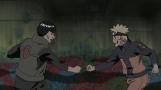 Naruto Shippuden - Épisode 229