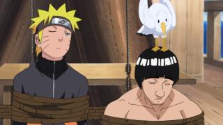 Naruto Shippuden - Épisode 230