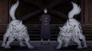 Naruto Shippuden - Épisode 491