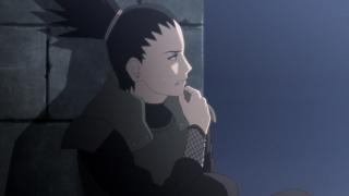 Naruto Shippuden - Épisode 492