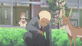 Nichijou - My Ordinary Life - Épisode 6