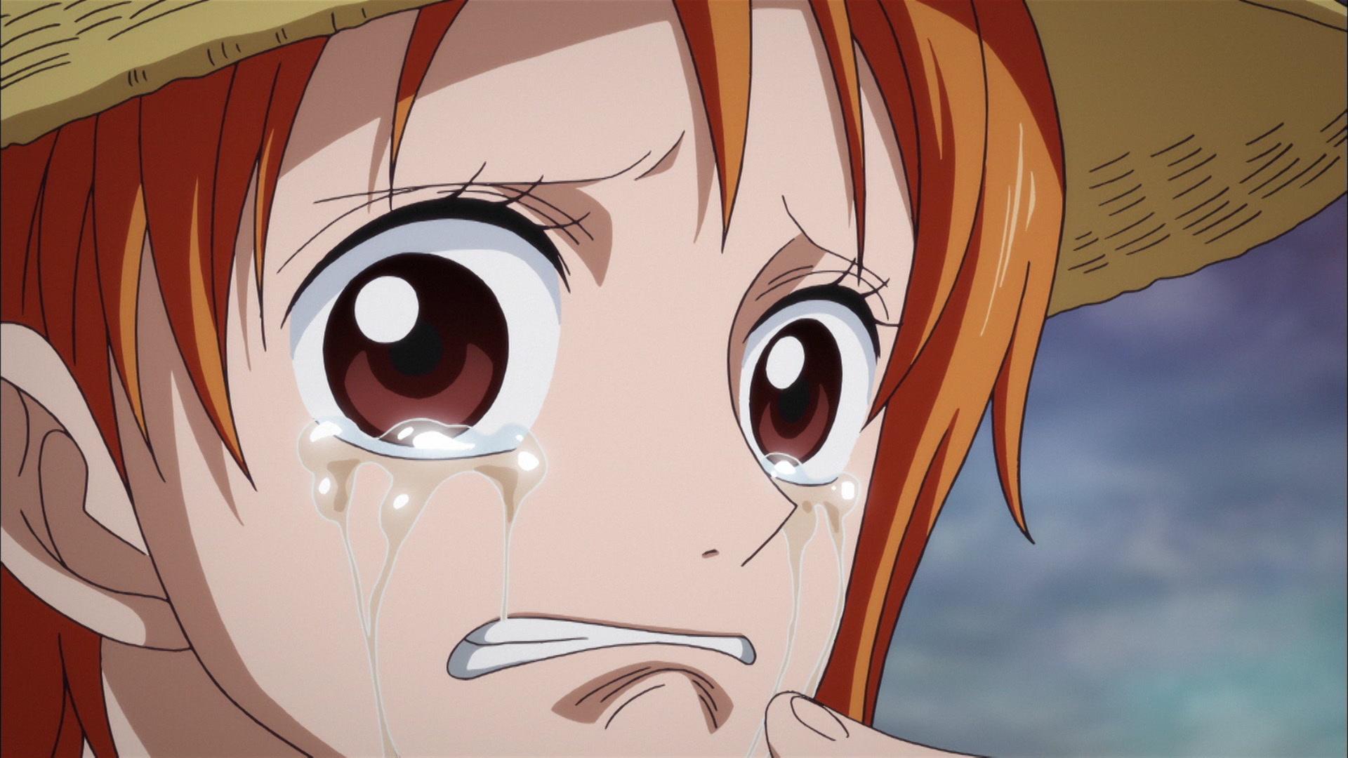 One Piece Episode Of Nami Tears Of A Navigator And The Bonds Of Friends /  Kokaishi No Namida To Nakama No Kizuna