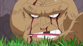 One Piece : Saga 07 - Guerre au sommet - Épisode 392