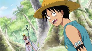 One Piece : Saga 07 - Guerre au sommet - Épisode 410