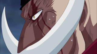 One Piece : Saga 07 - Guerre au sommet - Épisode 482